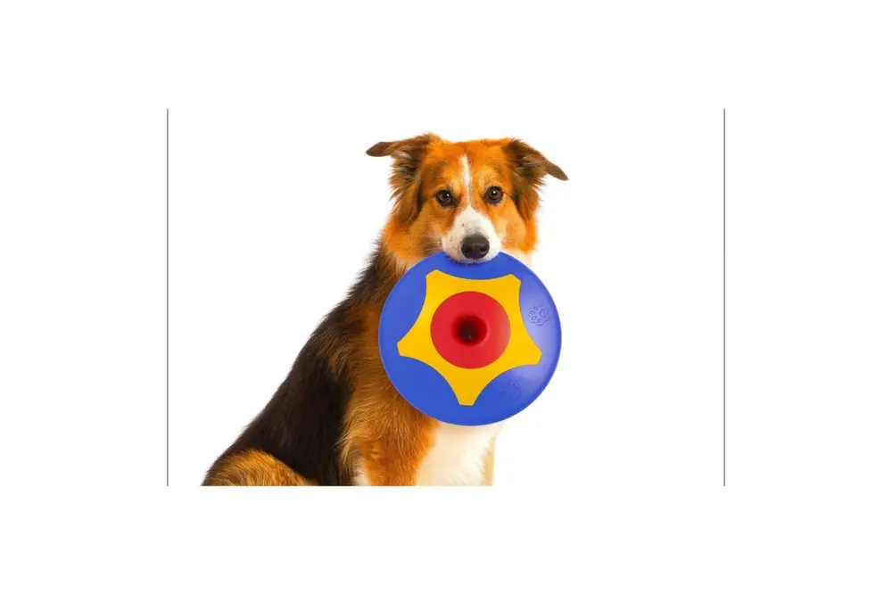 Trotto Disk Köpek Oyuncağı