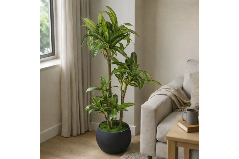 Yapay Masengena Ağacı, 3 Gövdeli, 160 Cm