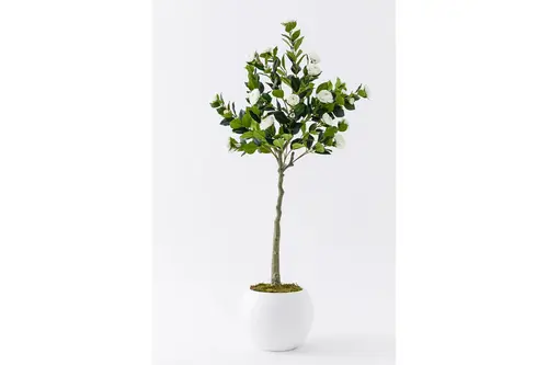Flora Yapay Gül Ağacı, Beyaz, 24 Dal, 160 Cm