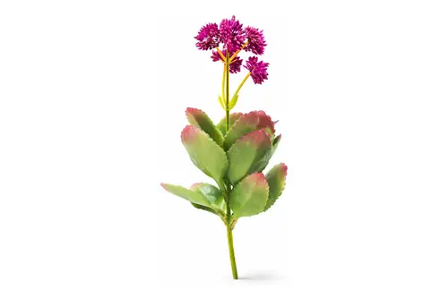 Yapay Adenium Obesum Dekoratif Obje