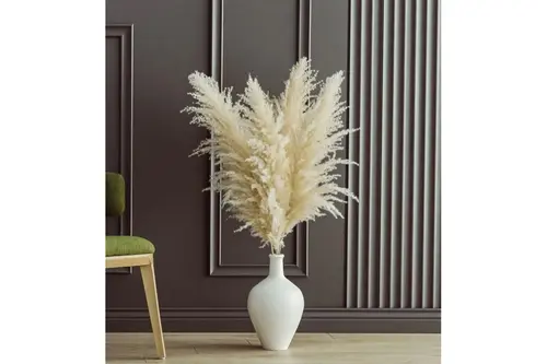 Fulfly Şoklanmış Pamuklu Pampas, 5 Adet