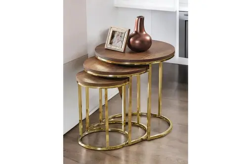 Tubihome Zigon Sehpa Takımı, Gold Ayak